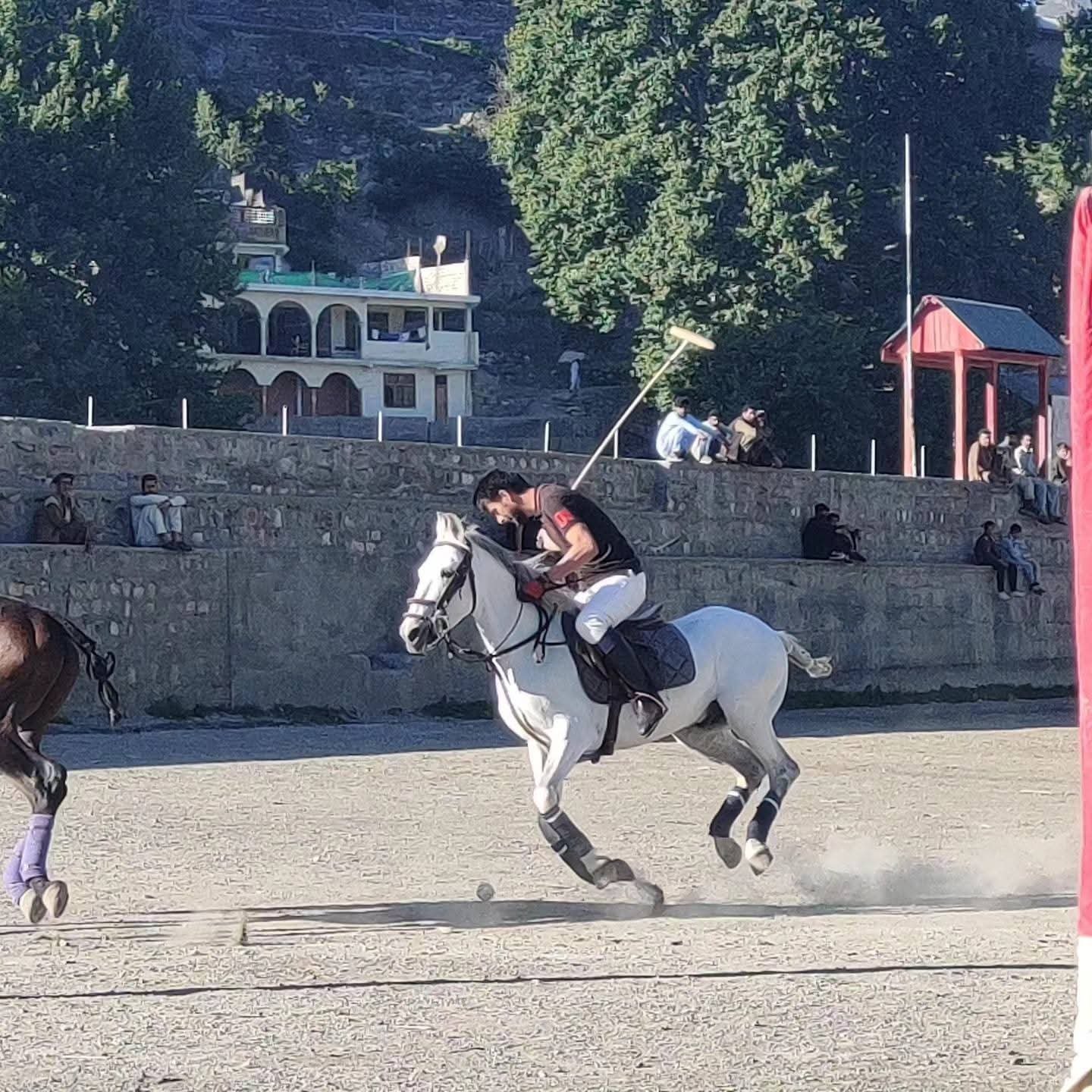 fb-img-1772823232088jpg