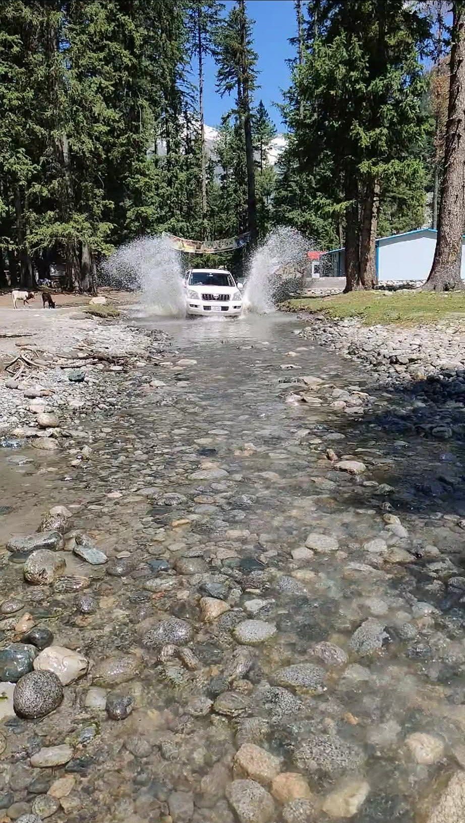 fb-img-1772824397758jpg