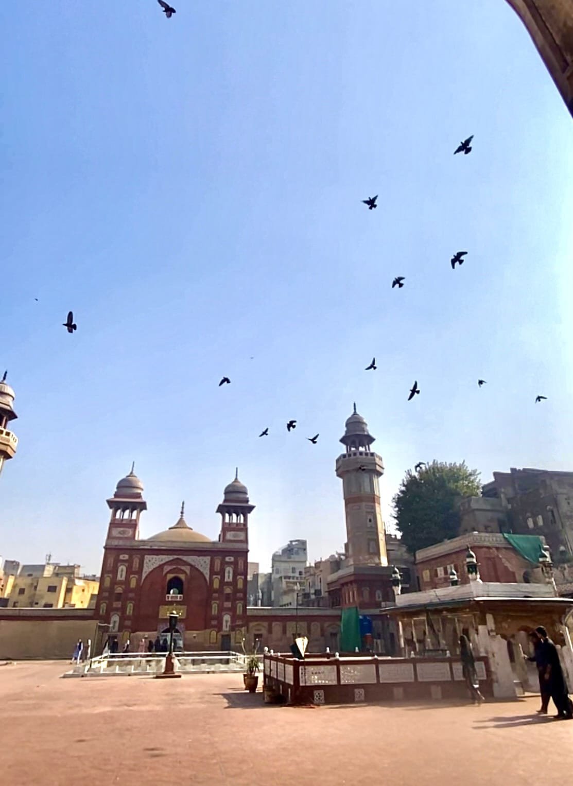 whatsapp-image-2026-03-06-at-102224-pm